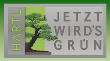 Jetzt wirds grün Gartengestaltung